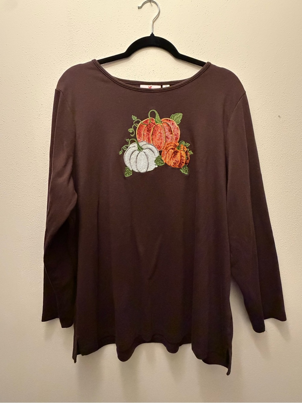 Women’s Brown Pumpkin Embroidered Long-Sleeve Top